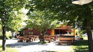 Een rustieke houten hut met een veranda, omgeven door bomen en een grindpad.