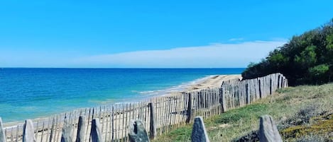 海滩