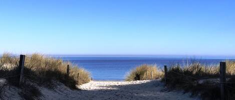 Una spiaggia nelle vicinanze