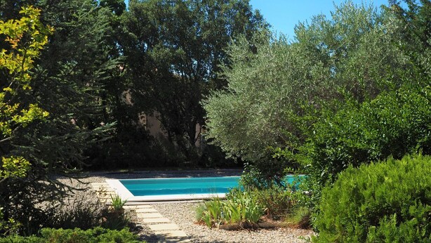 Una piscina rodeada de abundante vegetación y árboles.