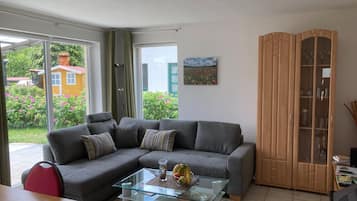 Smart TV, chimenea y reproductor de DVD