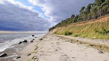 Playa en los alrededores