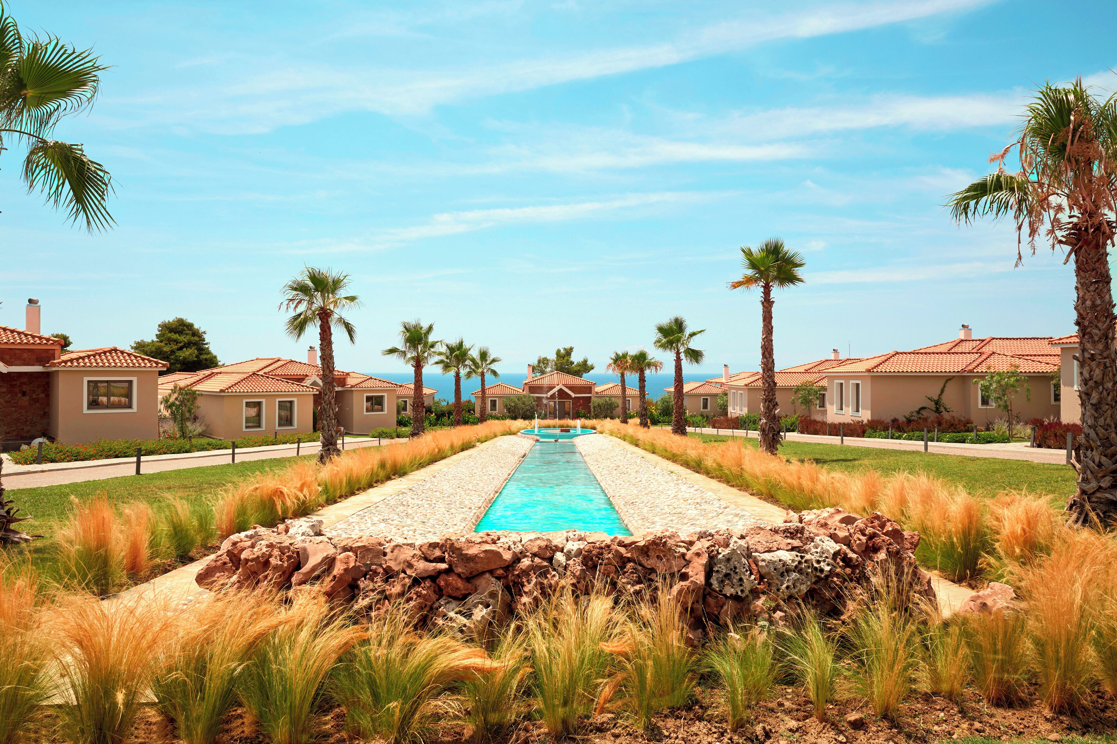 Una piscina con borde de piedra, rodeada de césped y palmeras, que da a una hilera de casas con tejados rojos.
