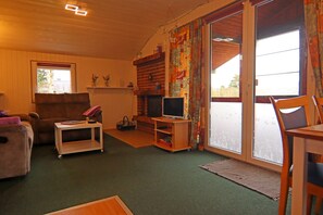 TV connectée, cheminée, lecteur de DVD