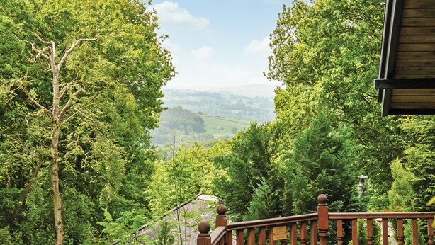 Un escalier menant à un balcon d’où l’on peut admirer un paysage boisé.