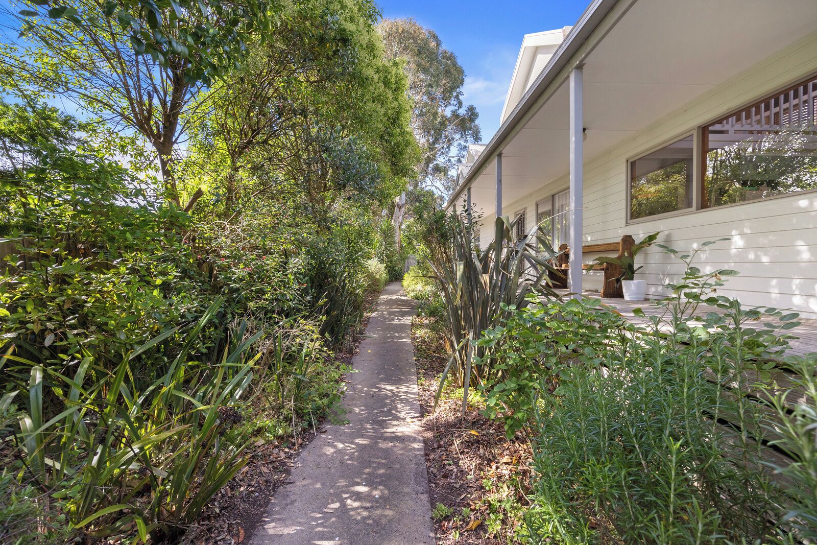 A pathway flanked by dense vegetation leading to a house with a covered porch.