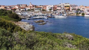 Un pueblo costero con un puerto deportivo, barcos y edificios con techos de tejas rojas.