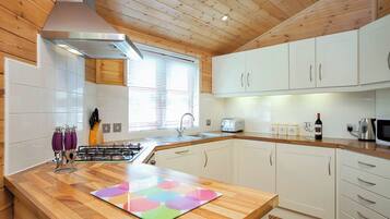 Fridge, oven, stovetop, toaster