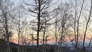 Een besneeuwd landschap met een houten hutje, omringd door bomen.