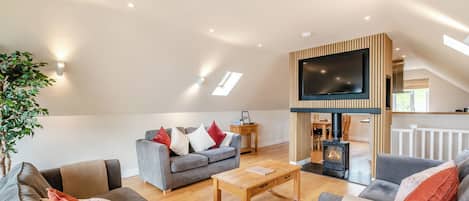 TV, fireplace