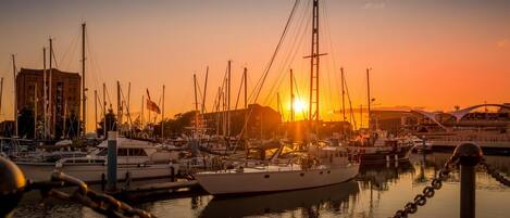 Marina