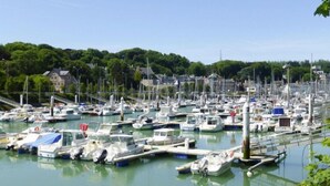 Un puerto deportivo con numerosas embarcaciones amarradas, rodeado de vegetación y edificios.