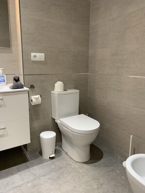 Shower, hair dryer, bidet, towels