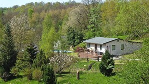 A house with a pool, surrounded by lush greenery and trees. - Ferienhaus, Steinbach-Hallenberg (Steinbach-Hallenberg)
