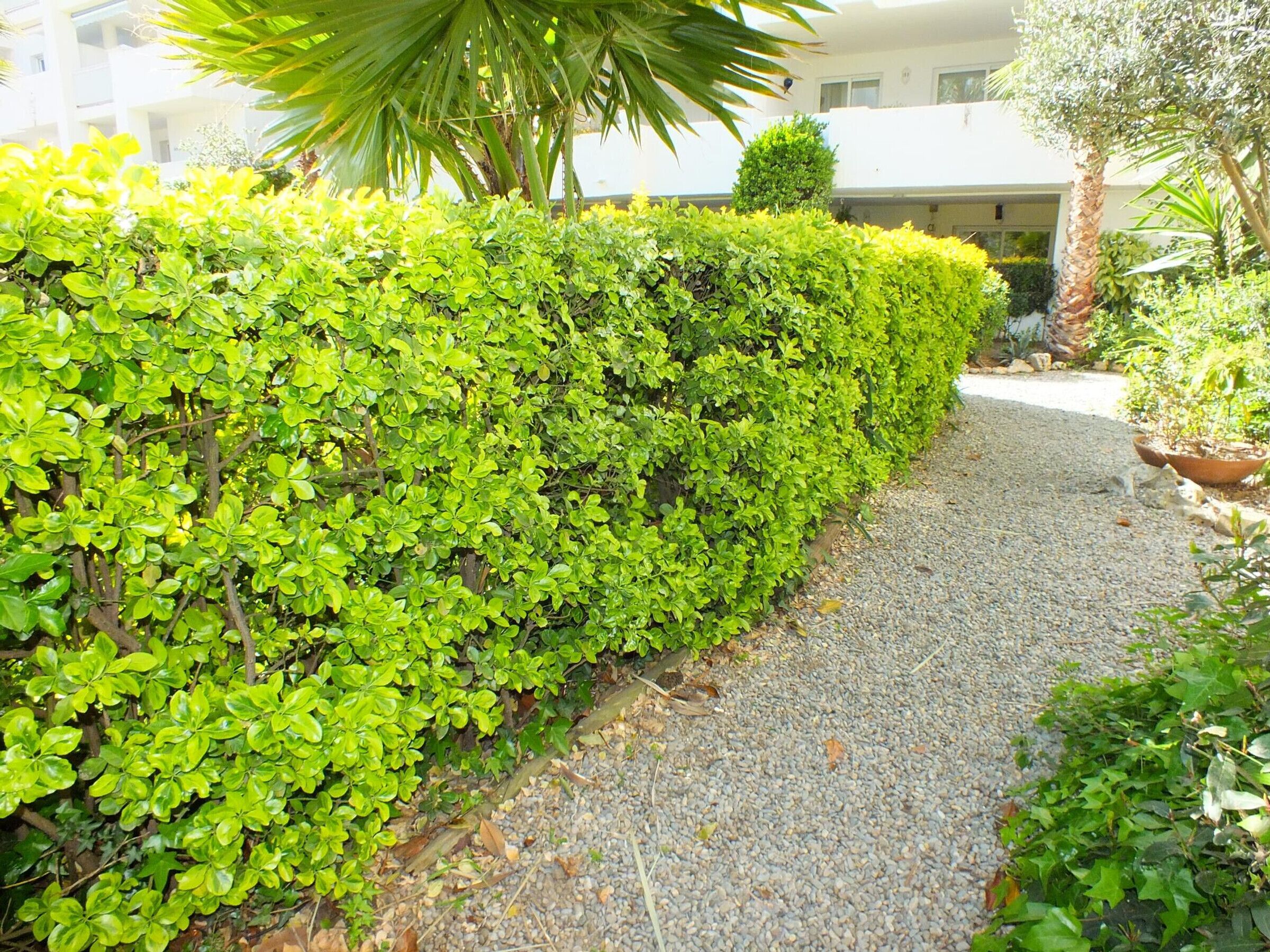 Jardines del alojamiento