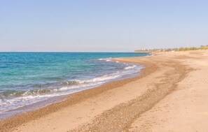 بالقرب من الشاطئ، صيد الأسماك