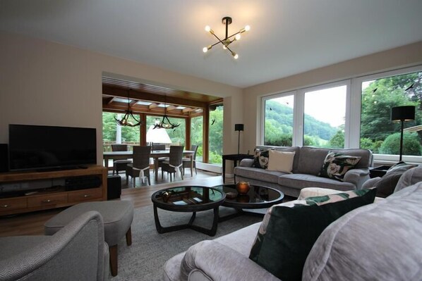 TV connectée, cheminée, lecteur de DVD