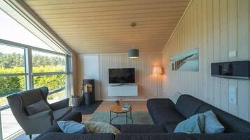 TV connectée, cheminée, lecteur de DVD