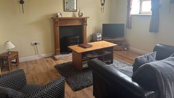TV, fireplace, DVD player, books