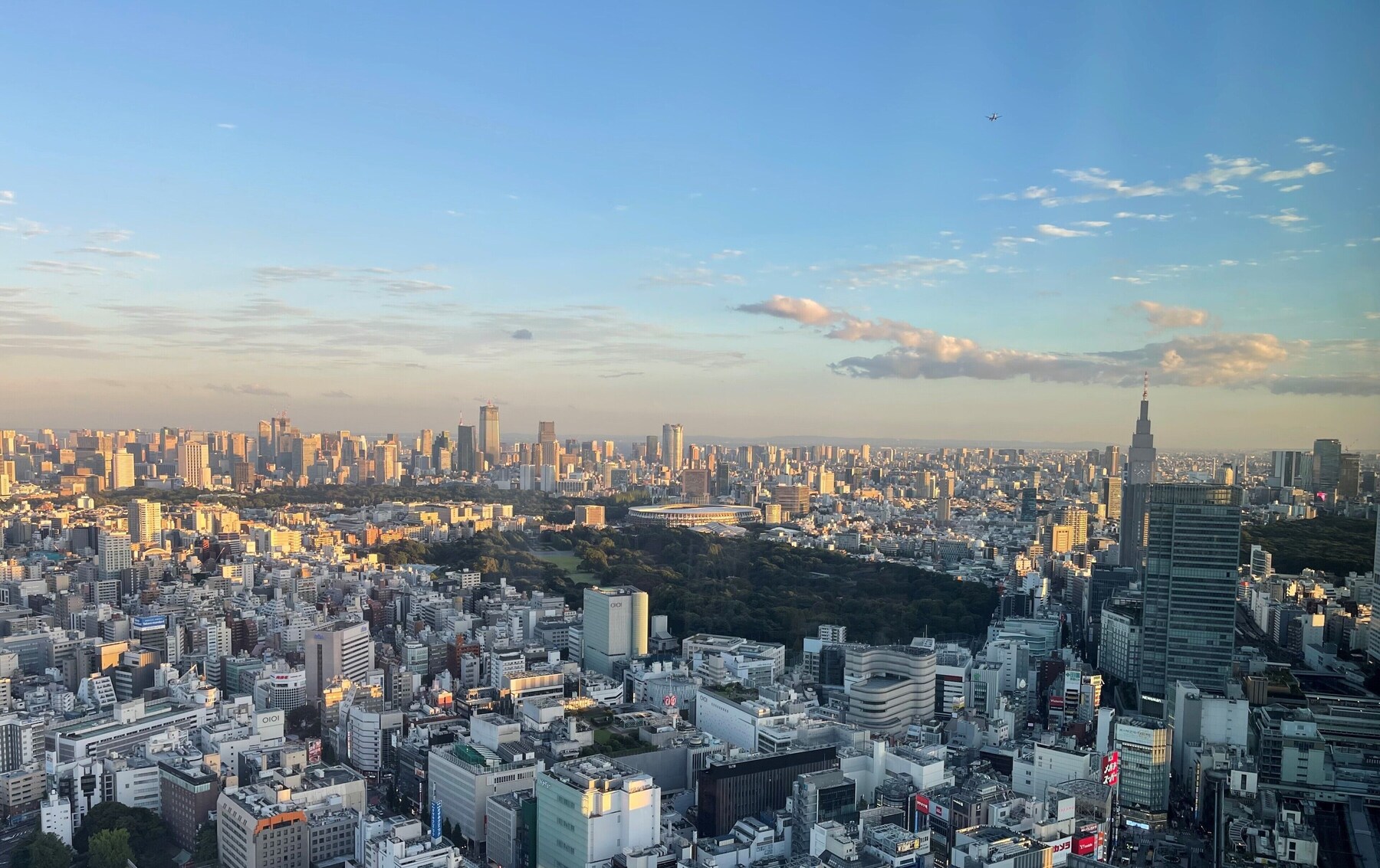 City view