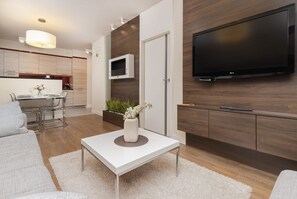 Fernseher, Arbeitsbereiche