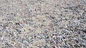 Una spiaggia con sassolini e una montagna sullo sfondo.