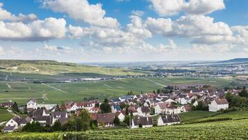 A rural town with vineyards, houses, and a clear sky.