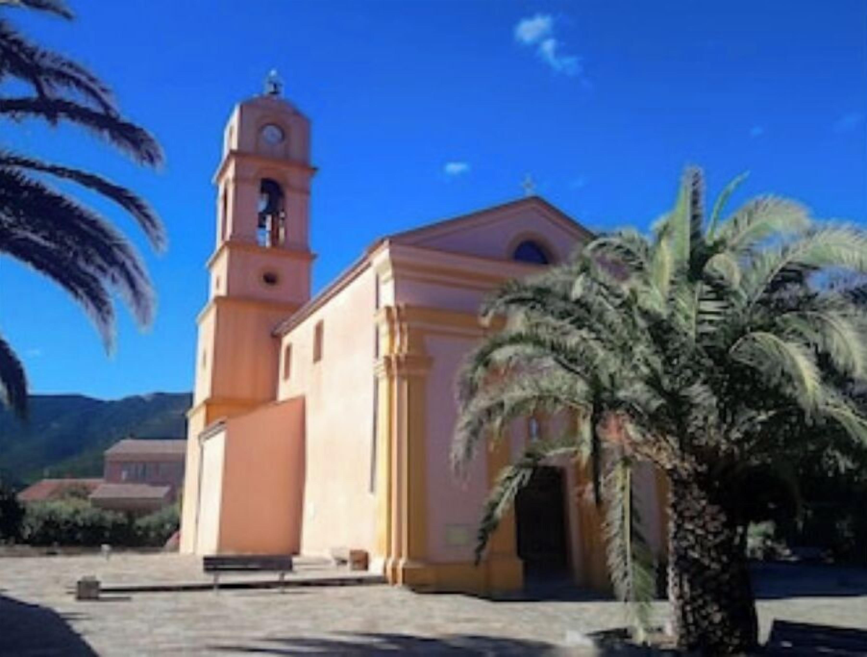 A building with a bell tower and a palm tree in front.