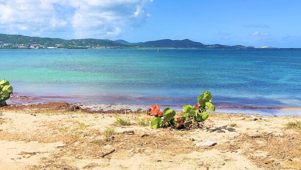 Ein Strand mit klarem türkisblauem Wasser, Bergen im Hintergrund und spärlicher Vegetation.