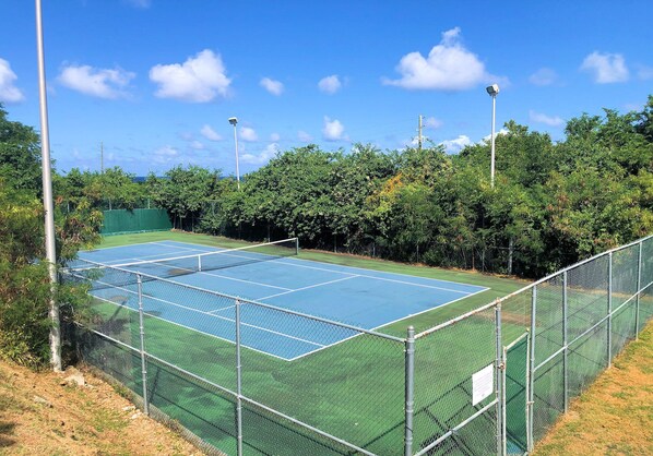 Una cancha de tenis con una cerca de malla metálica, rodeada de árboles y un cielo despejado.
