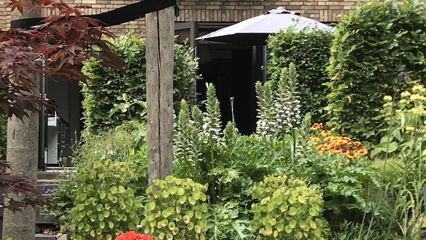 Un jardín con diversas plantas y flores, una pérgola de madera y un edificio de ladrillo con un balcón.