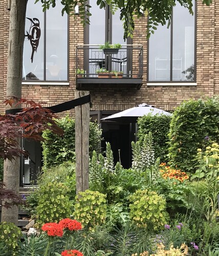 B&B / Art gallery with terras / garden In the historic center of Dordrecht