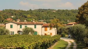 A rural setting with a vineyard, traditional buildings with green shutters, and a hillside in the background. - Casa Bella: Charming Apartment with a Lake View (Bardolino)