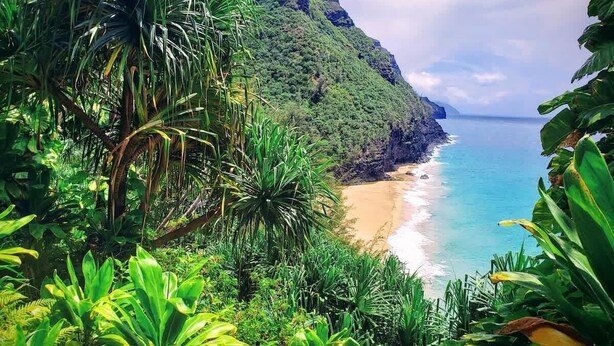 Playa en los alrededores 