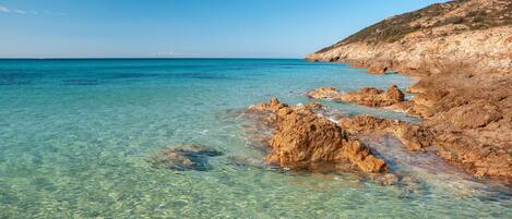 بالقرب من الشاطئ