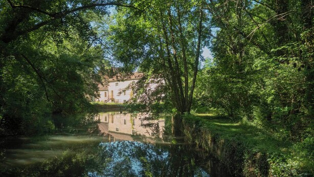 Una scena tranquilla lungo il fiume, con un edificio riflesso nell'acqua, immerso nel verde.