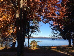 Un parc au bord du lac, avec des arbres, un banc et une jetée.