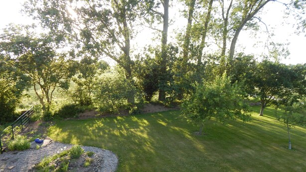 A well-maintained garden with a variety of trees and a neatly trimmed lawn. - Ferienwohnung in zentraler, ländlicher Lage (Groven)