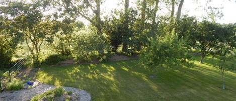 المنطقة المحيطة بالمنشأة