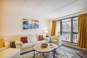 Televisión, chimenea y reproductor de DVD