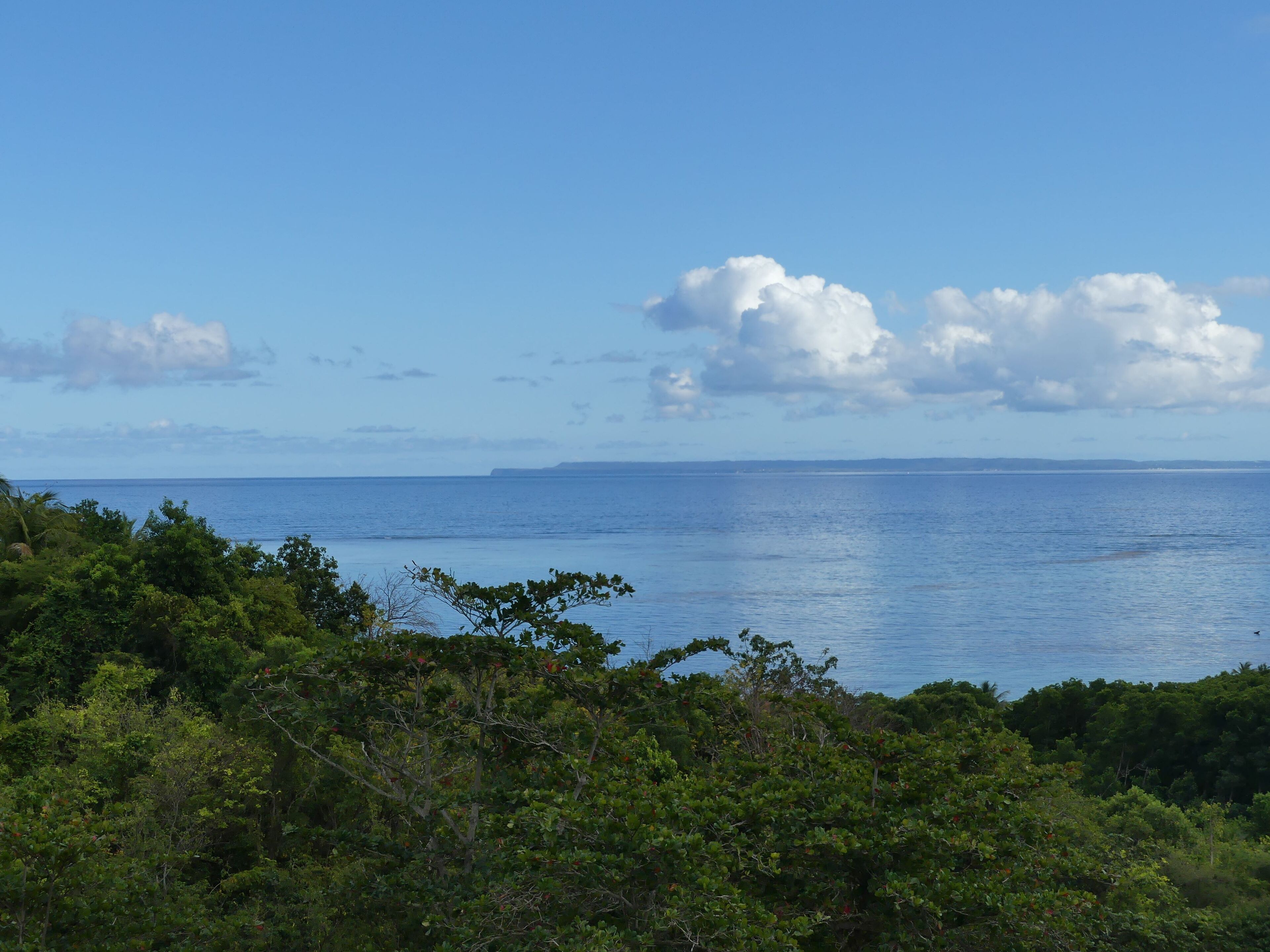 A coastal landscape with dense greenery in the foreground and a calm sea under a clear sky.
