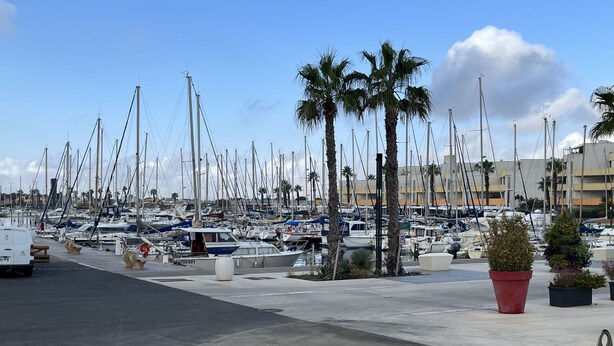 A marina with numerous boats docked, palm trees, and a white van on the pavement. - HOUSE WITH MAGNIFICENT SEA VIEW (Le Barcarès)