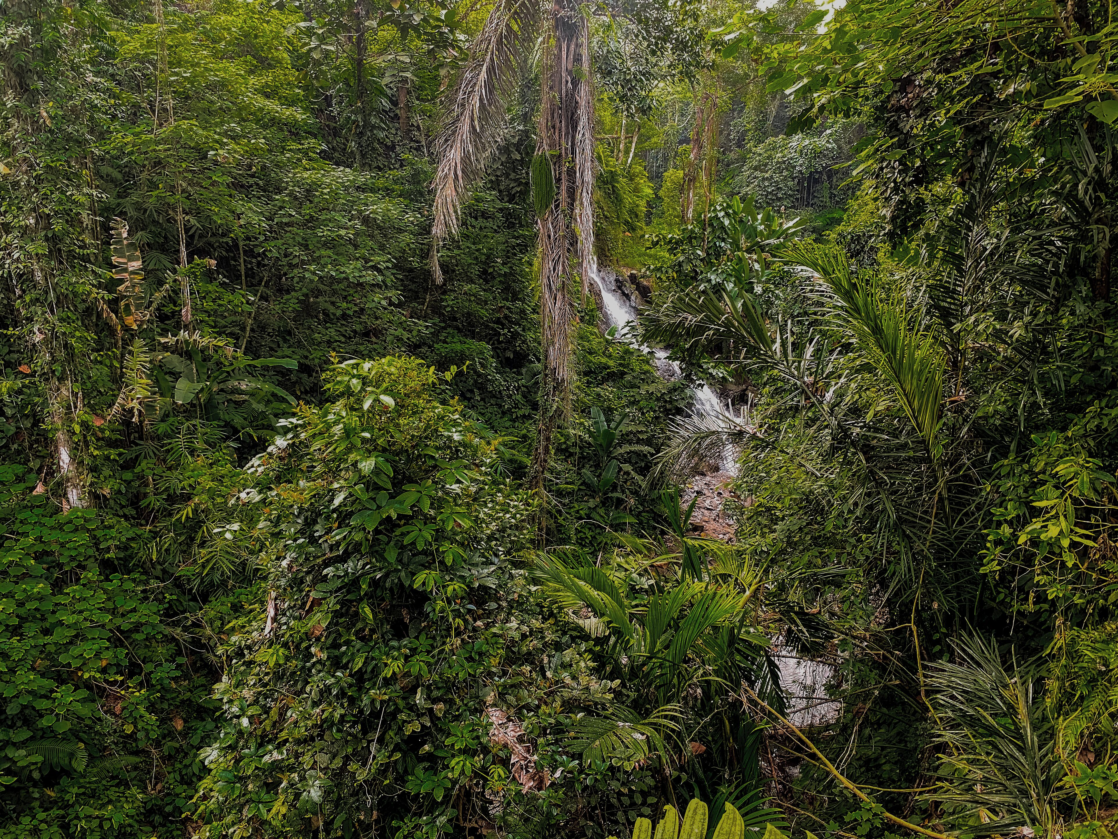 Foto - The Sebali Resort