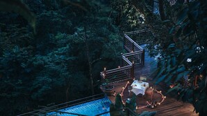 Una terraza de madera con piscina, rodeada de abundante vegetación.