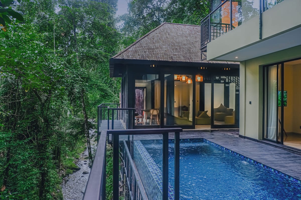 A modern house with a swimming pool surrounded by lush greenery.