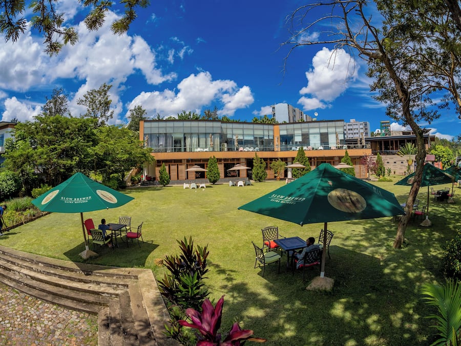 Terraza o patio