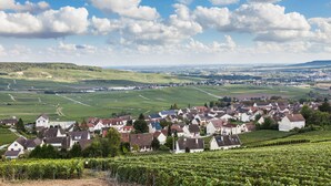 Eine ländliche Stadt mit Weinbergen, Häusern und einem wolkenlosen Himmel.