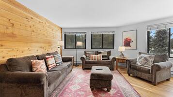 TV, fireplace, DVD player