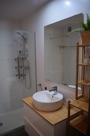 Shower, hair dryer, soap, shampoo