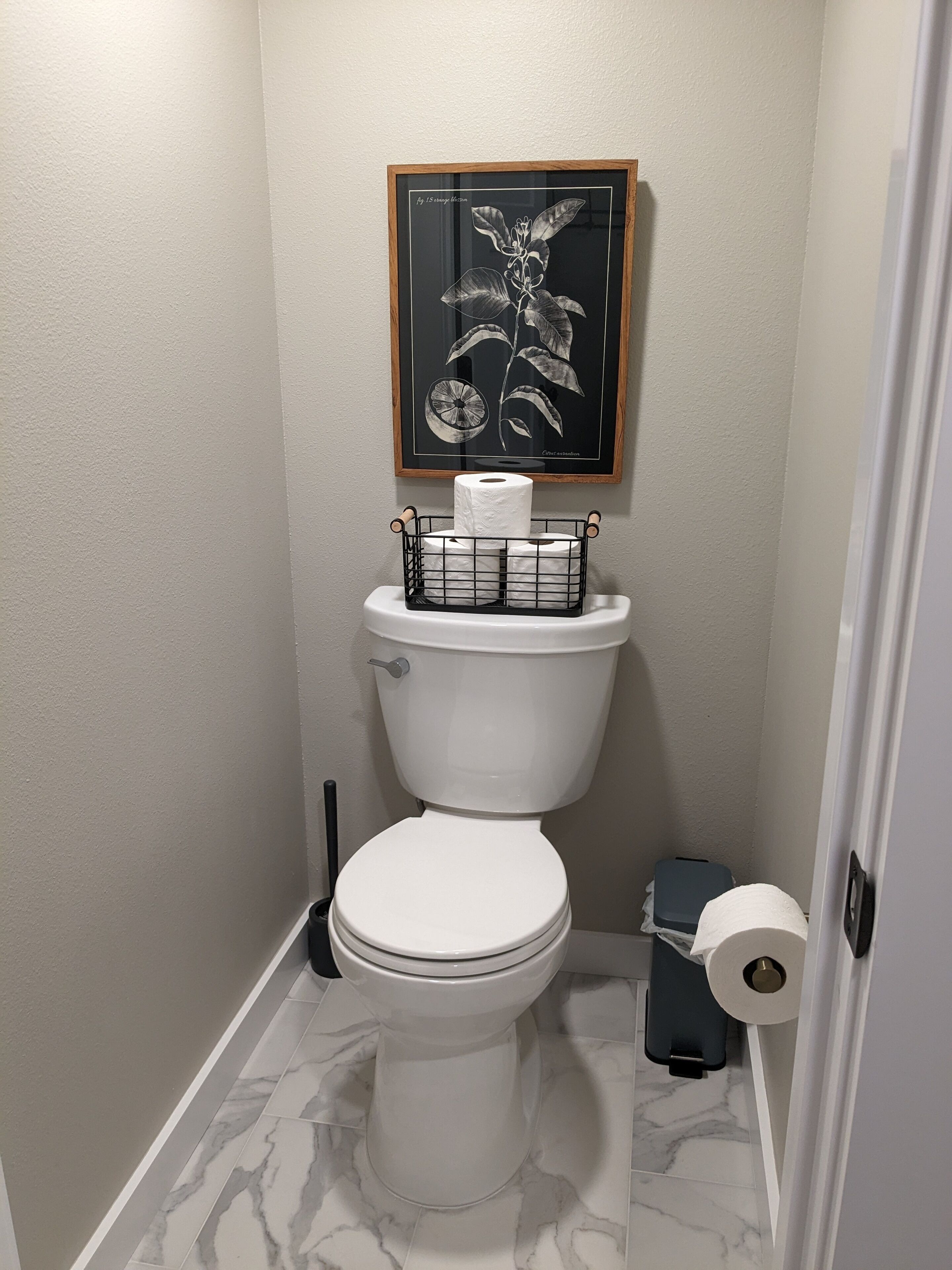 Een badkamer met een toilet, een ingelijste botanische afbeelding en een toiletrolhouder met een rol.